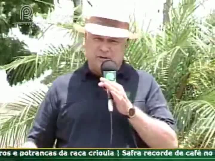 Consultor do Soja Brasil fala sobre a safra de soja de Rolândia