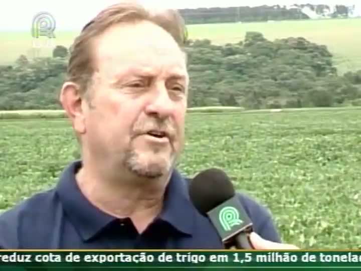 Produtores de Campo Mourão (PR) falam de tecnologia nas lavouras e do calor excessivo