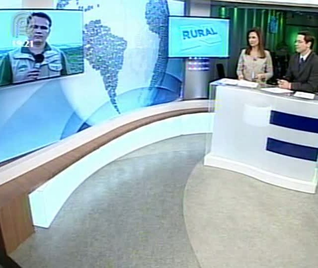 Produtores do Paraná estão preocupados com o novo Código Florestal