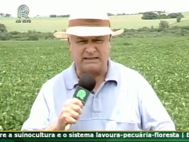 Representantes da Coamo falam do clima e da produção de soja em Campo Mourão (PR)