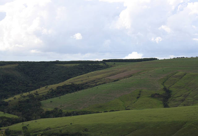 Fonte: Canal Rural