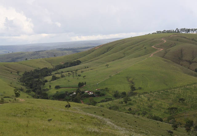 Fonte: Canal Rural