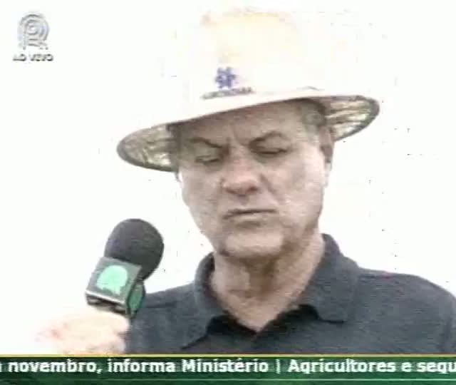 Consultor do Soja Brasil fala das lavouras de Ponta Porã (MS)