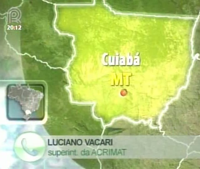 Superintendente da Acrimat fala sobre setor da pecuária no Brasil