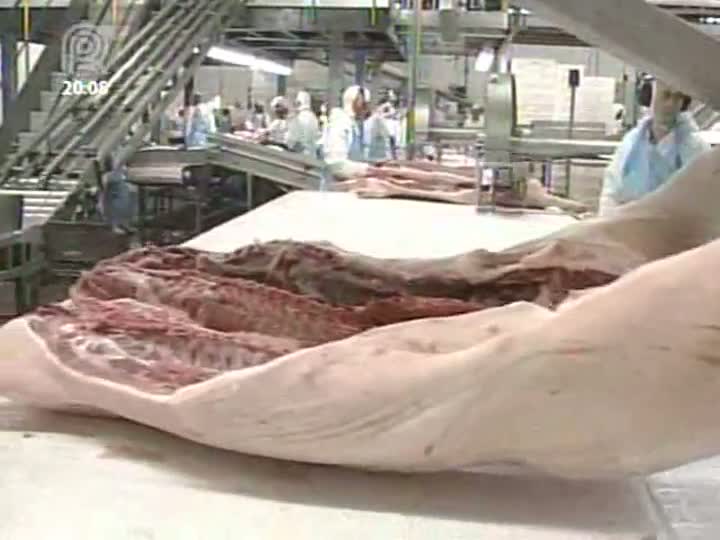 Representantes do setor da carne suína fazem balanço de 2012