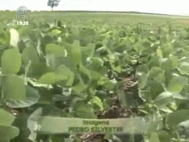 Filhos assumem negócios dos pais no campo e ajudam a melhorar produção nas fazendas do Centro-Oeste