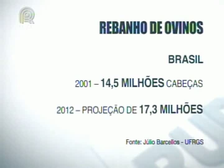 Pesquisa alerta para a redução do rebanho ovino do Rio Grande do Sul