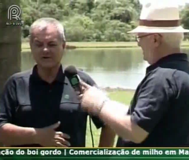 Consultor do Soja Brasil fala das lavouras de Sidrolândia (MS)