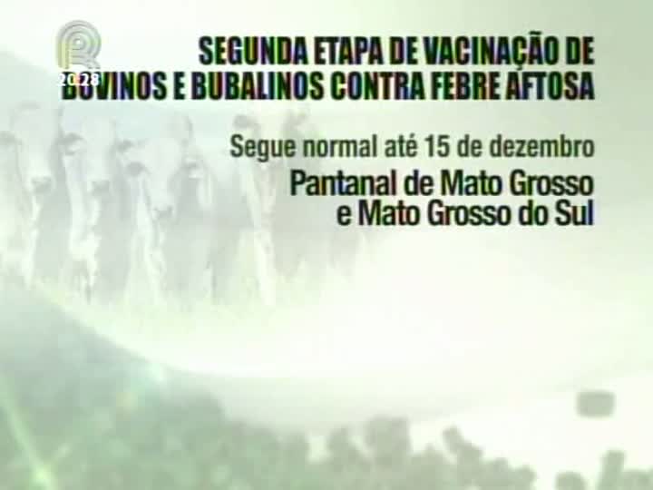 A segunda etapa da vacinação contra febre aftosa continua até o fim do ano