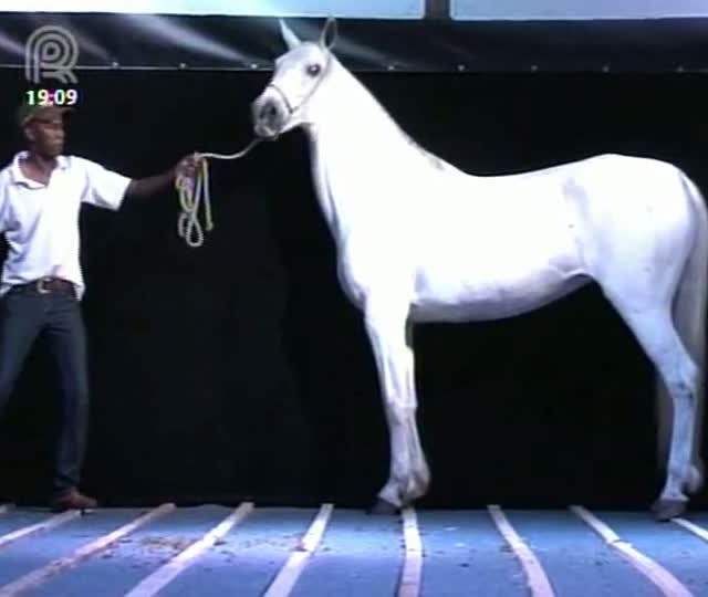 Mangalarga Marchador TV mostra visita ao Museu Nacional da raça em Cruzília (MG) - Parte 1