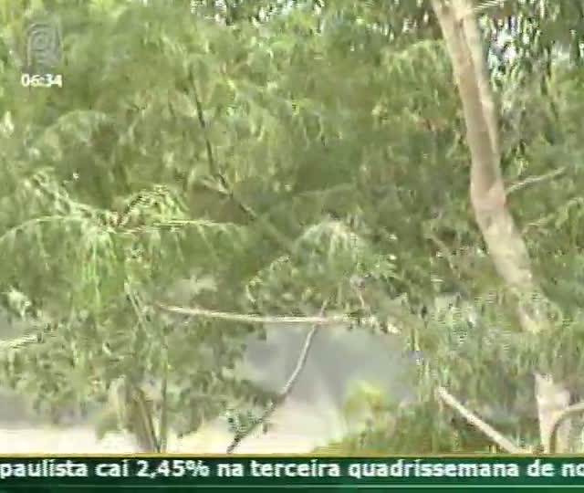 Técnica Rural mostra como a alimentação dos animais reflete na qualidade do leite produzido