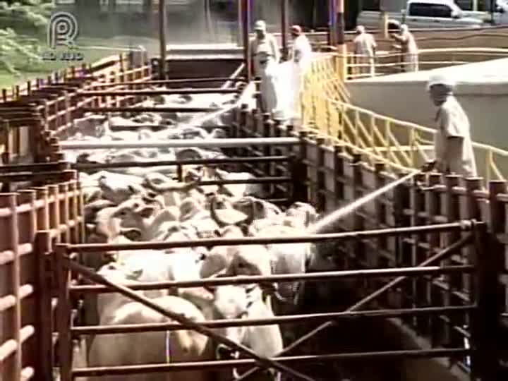 Frigorífico Mata Boi reabre planta em Mato Grosso