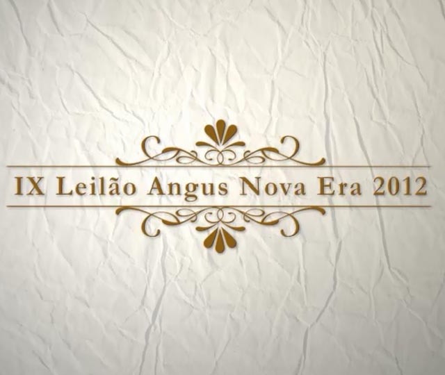 IX Leilão Nova Era