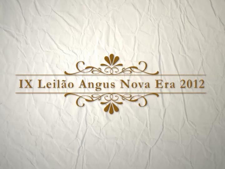 IX Leilão Nova Era