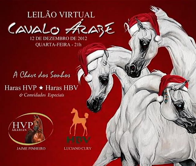 Leilão Virtual Cavalo Árabe