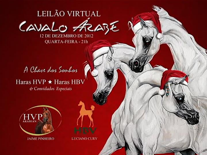 Leilão Virtual Cavalo Árabe