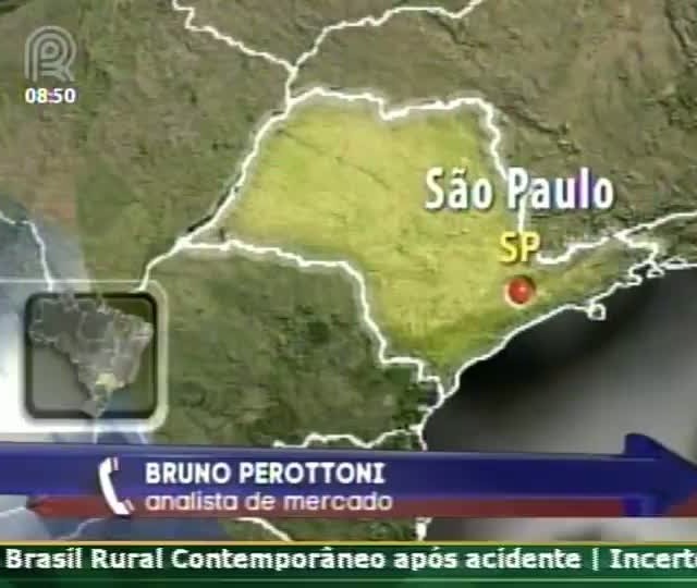 Grãos: Soja e Milho começam semana com alta