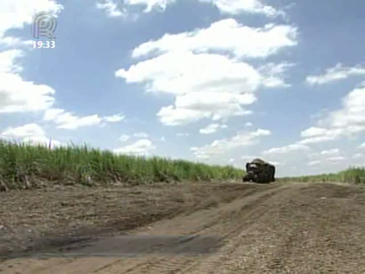 Preço da cana-de-açúcar está menor do que o mesmo período de 2011