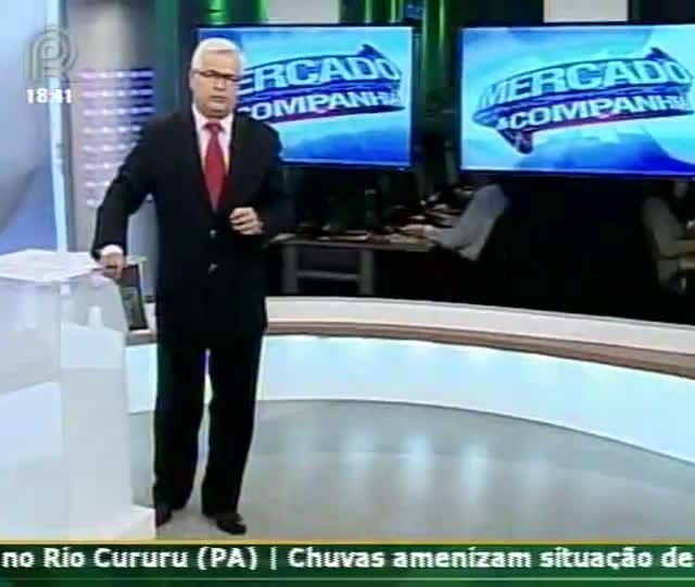 Analista comenta sobre o mercado do milho