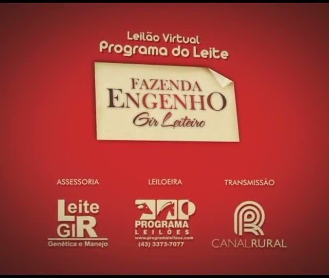 Leilão Virtual Fazenda Engenho