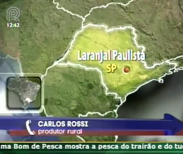 Produtor rural comenta sobre o mercado do frango em São Paulo
