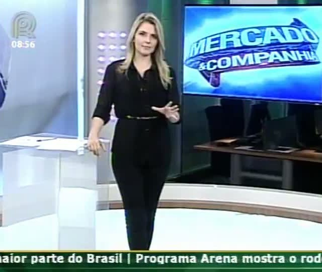 Boi Gordo: preços caem com chegada da safra