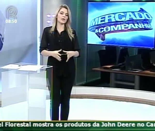 Arroz: no RS cerca de 97% da área estimada para o arroz já foi plantada