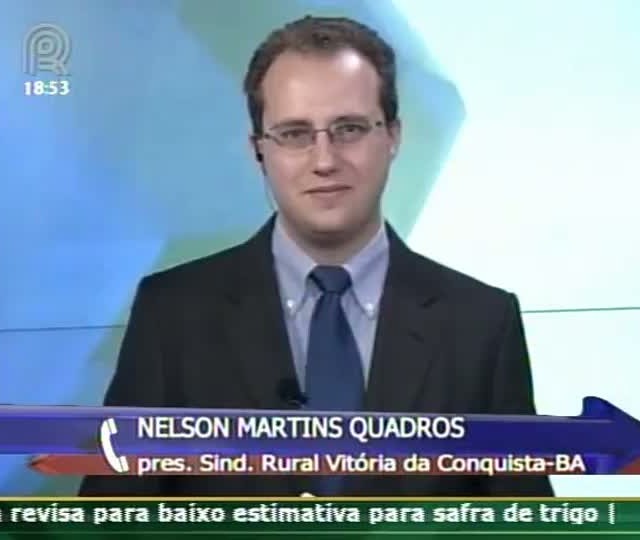 Presidente do Sindicato Rural de Vitória da Conquista comenta sobre o cenário das pastagens após chuva