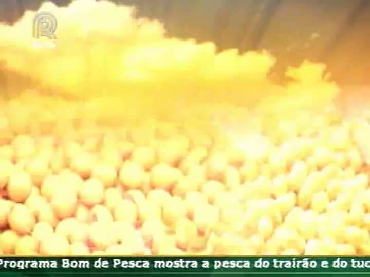 Técnica Rural mostra como avaliar o grau de infestação da lavoura de soja