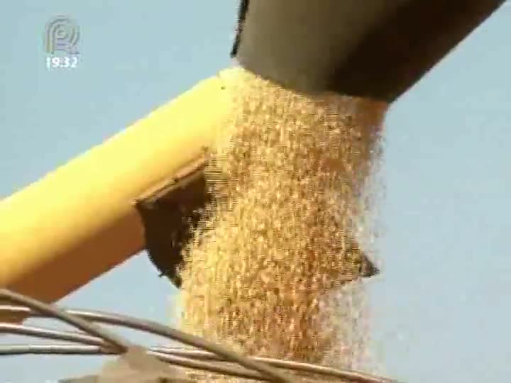 Boa expectativa para produtos do agronegócio em 2013