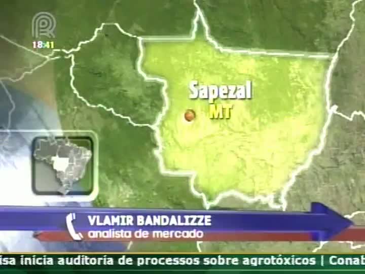 Analista de mercado comenta o mercado da soja