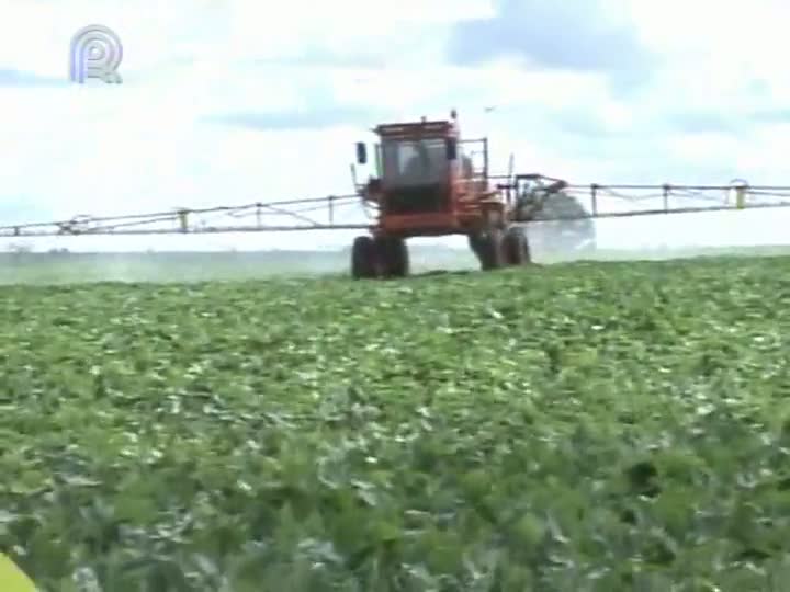 Produtores de soja ficam em alerta com primeiro foco de ferrugem em Mato Grosso