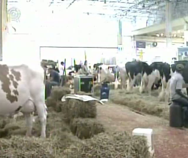 Inicia a edição 2012 da Feileite em SP