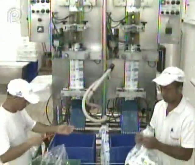 Especialistas do setor do leite trabalham para se adequar à nova instrução normativa