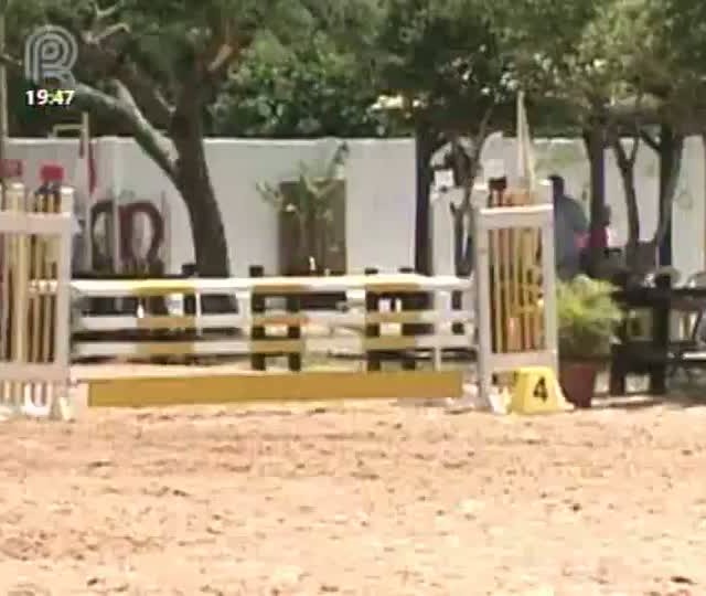 Animais atletas da Brigada Militar recebem tratamentos diferenciados