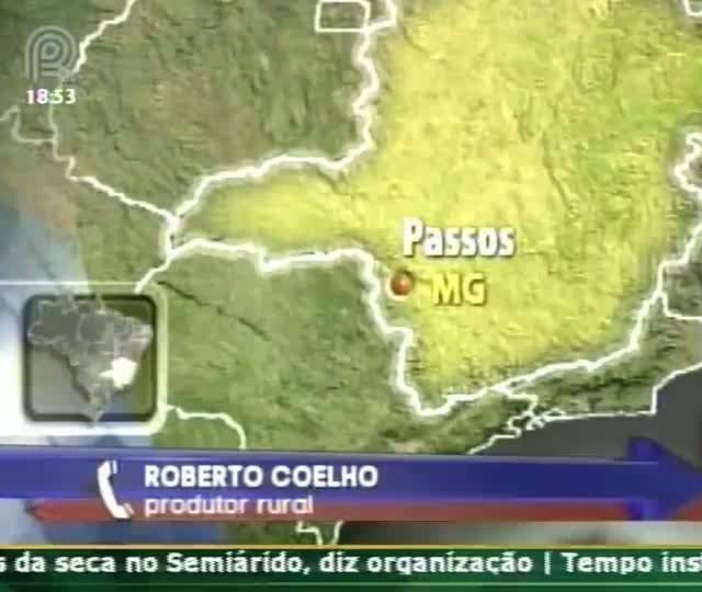 Diretor da Associação Mineira de Criadores de Suínos fala sobre o mercado do setor