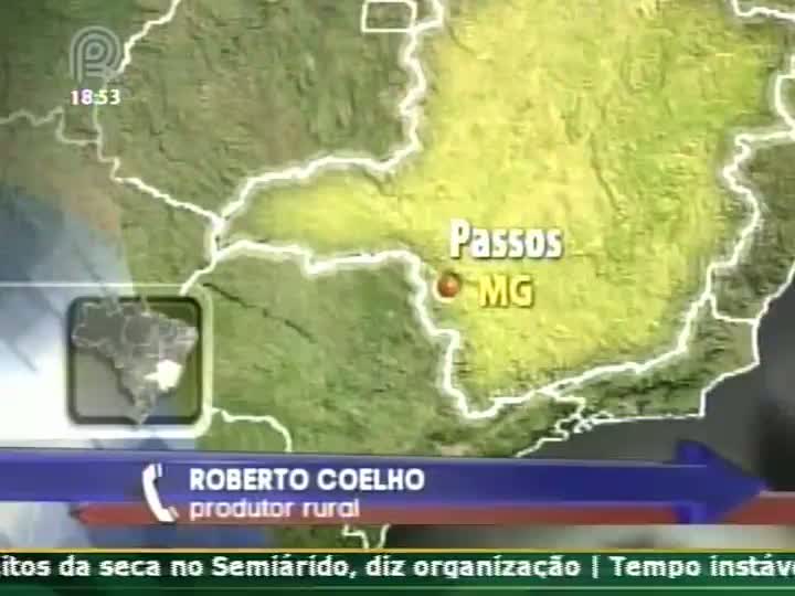 Diretor da Associação Mineira de Criadores de Suínos fala sobre o mercado do setor