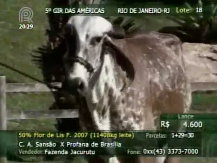 Nova edição do leilão Gir das Américas aconteceu no Copacabana Palace (RJ)