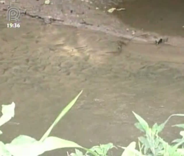 Veja como pode ser feita a recomposição da reserva legal e APPs