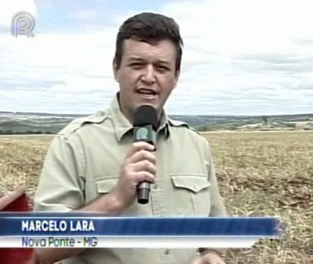 Produtores mineiros comemoram a chegada da estação chuvosa