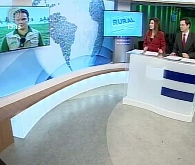 A equipe do Soja Brasil fala sobre a atual situação da cadeia produtiva de soja em MG