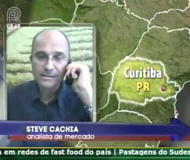 Grãos: Soja e milho testam leve recuperação em Chicago