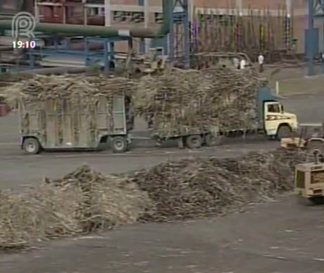 Canal Rural mostra recuperação do setor sucroenergético