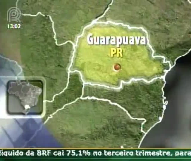 Presidente do Sindicato Rural de Guarapuava (PR) comenta sobre a produção de trigo na região