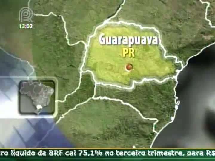 Presidente do Sindicato Rural de Guarapuava (PR) comenta sobre a produção de trigo na região