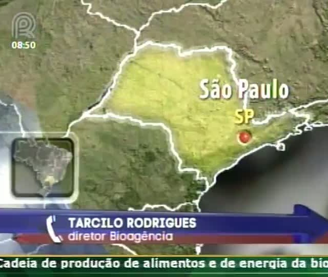 Açúcar: Cotações em baixa no mercado internacional e no Brasil