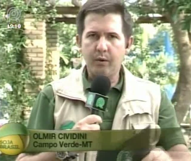 Município de Campo Verde (MT) está com dificuldades para encontrar mão de obra para o campo