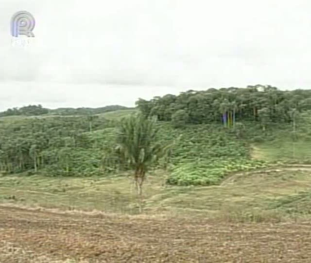 Código Florestal: especialistas da agropecuária se reúnem em SP para discutir novas regras do Cadastro Ambiental Rural