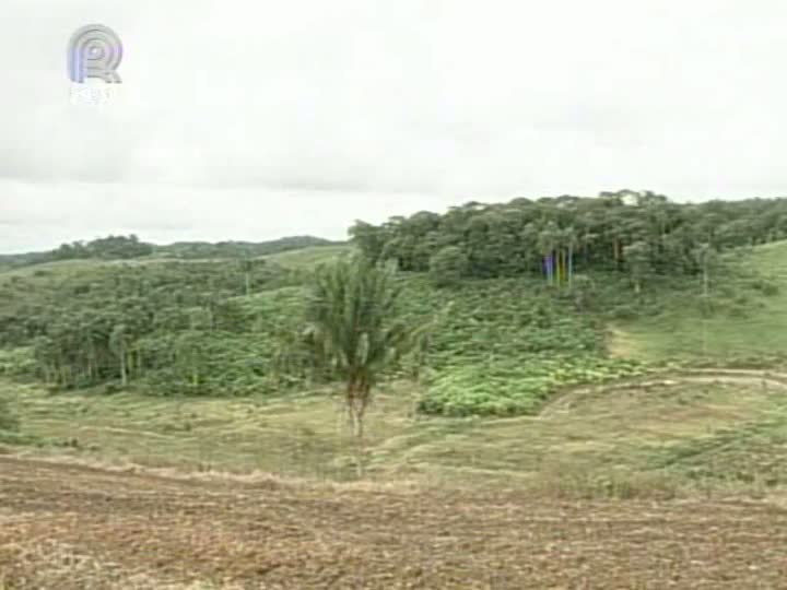 Código Florestal: especialistas da agropecuária se reúnem em SP para discutir novas regras do Cadastro Ambiental Rural