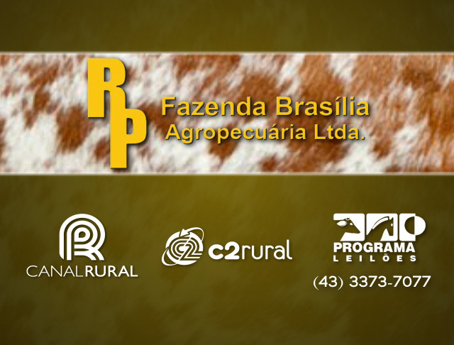 1° Leilão Virtual Fazenda Brasília